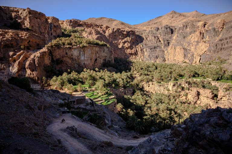 into-the-rift-the-atlas-mountain-race-4