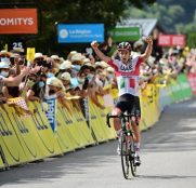 davide-formolo-uae-team-emirates-criterium-dauphine-2020-etapa3-meta