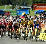 thibaut-pinot-peloton-criterium-dauphine-2020