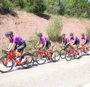 burgos-bh-temporada-2020