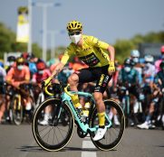 primoz-roglic-jumbo-visma-tour-francia-2020-etapa19