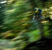 GT Bicycles, a crecer en España con distribución directa
