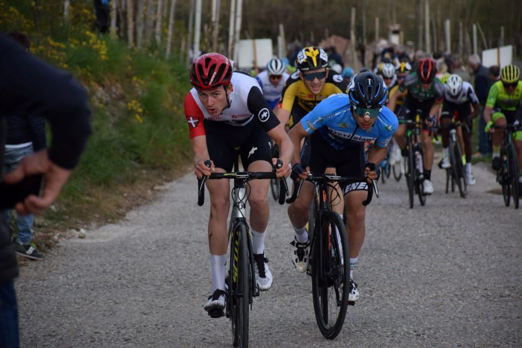 hallomese-trek-segafredo-2021