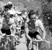 bernard-hinault-greg-lemond-la-vie-claire-1