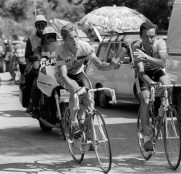 bernard-hinault-greg-lemond-la-vie-claire-2