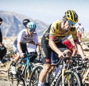El doctor Mito Bračič carga contra Jumbo por la recuperación de Primoz Roglic