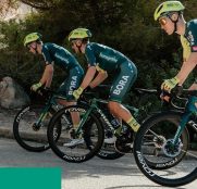Los planes de Red Bull con Bora-hansgrohe en 2024, al descubierto